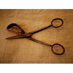 英國古董剪燭火剪刀